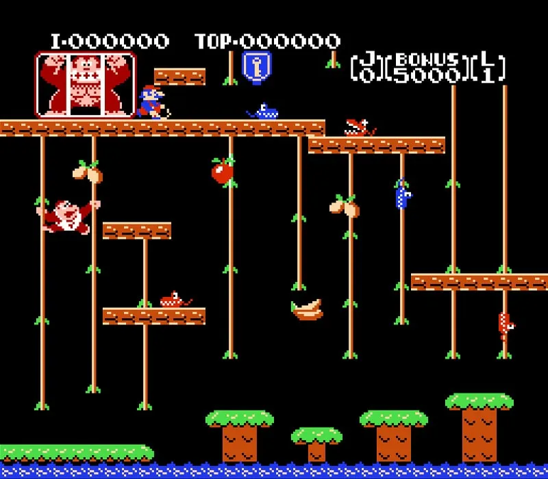 Игра Денди Donkey Kong Jr.